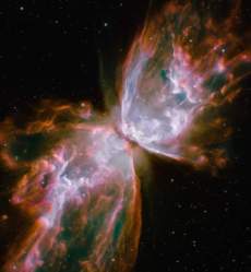 butterflynebula.jpg